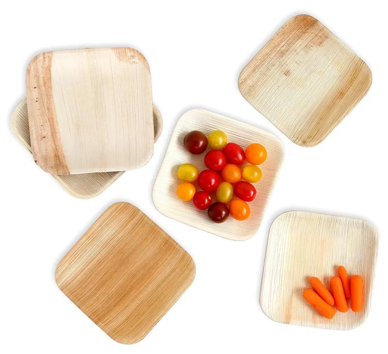 Understanding the Remarkable User Experience of Palm Leaf Plates
